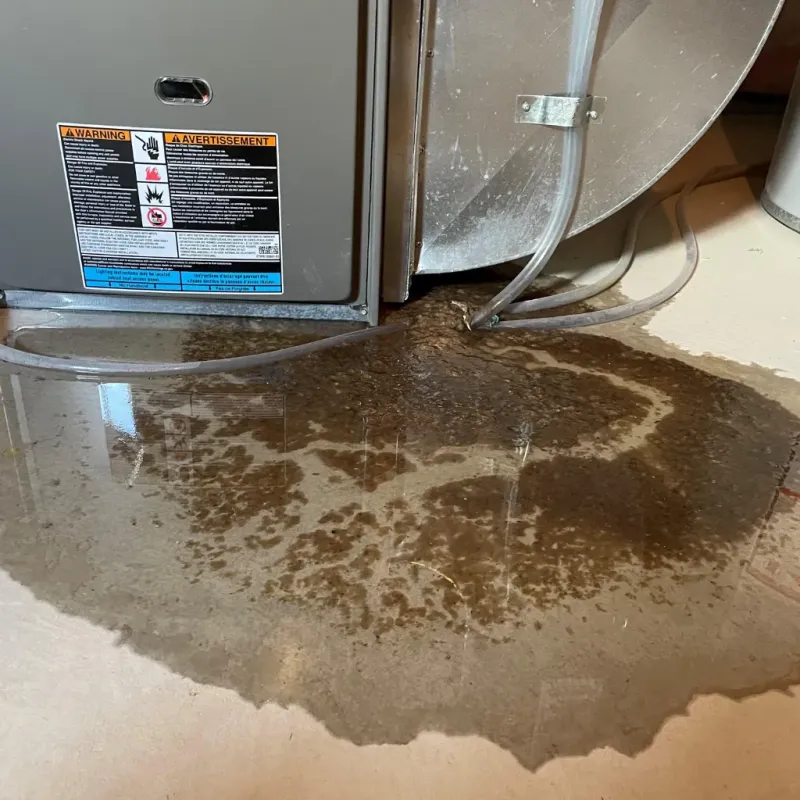 Appliance Leak Cleanup in Bellevue, ID